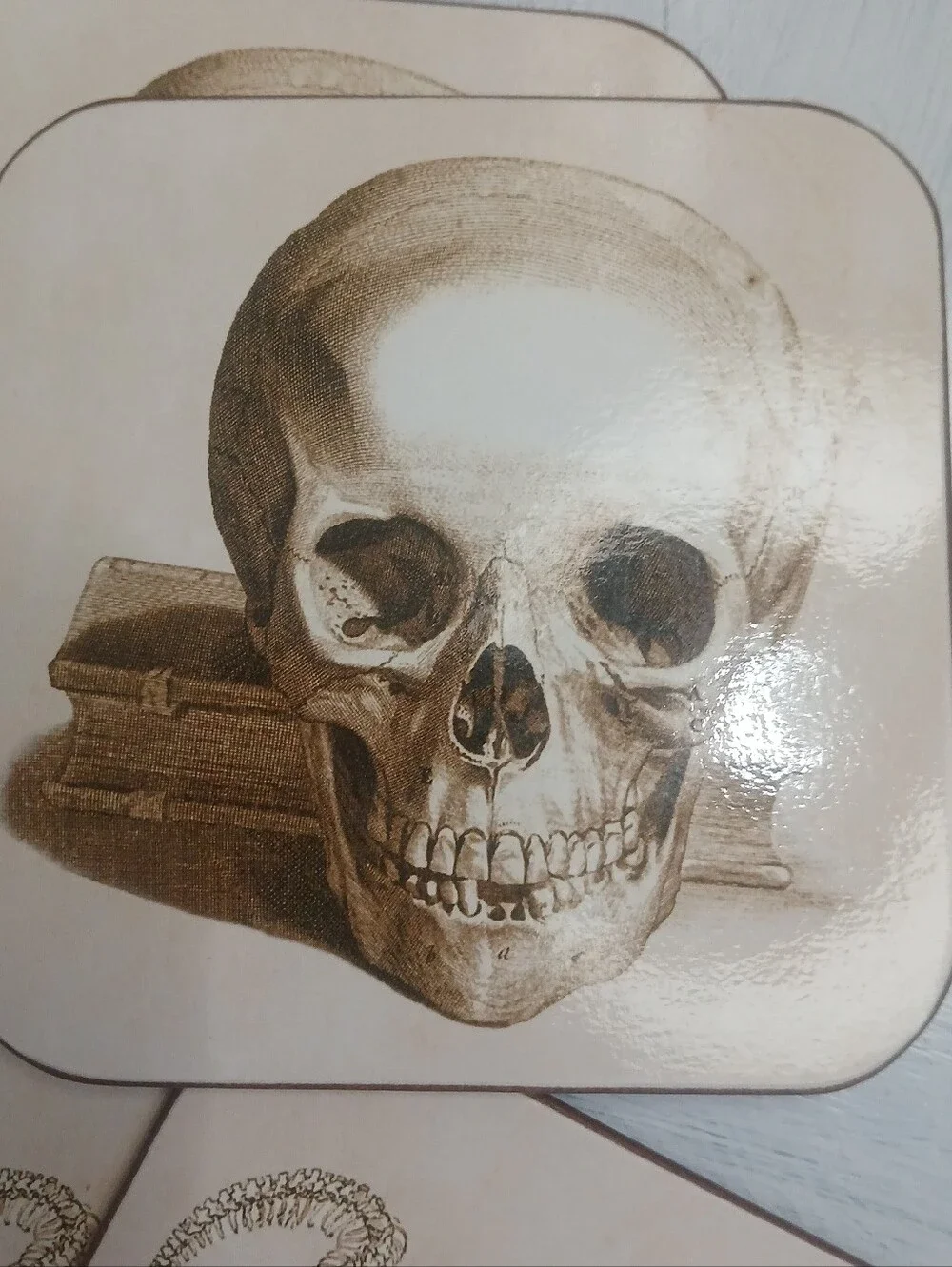 Williams-Sonoma Illustrated Coasters Sepia-Toned Artwork Anatomical Design